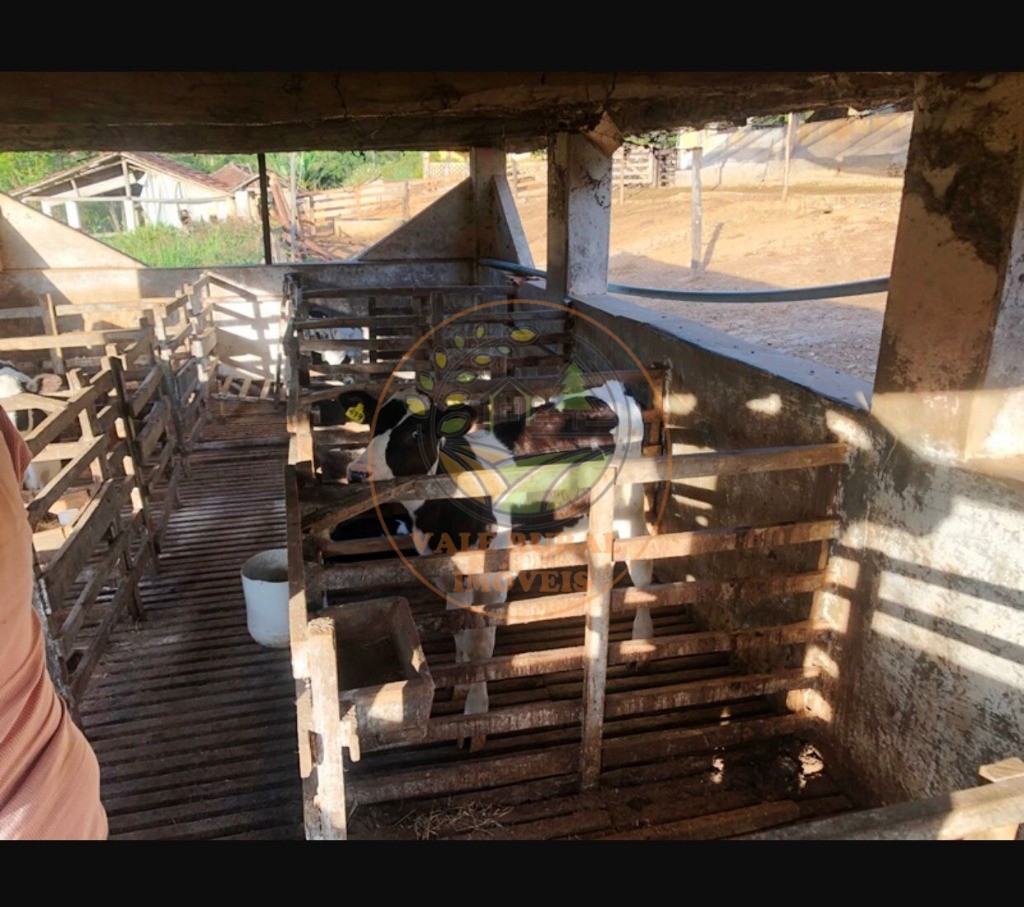 Fazenda, 220 m² - Foto 20