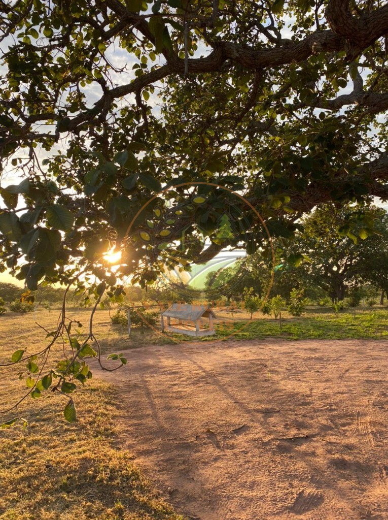 Fazenda, 3300 m² - Foto 6