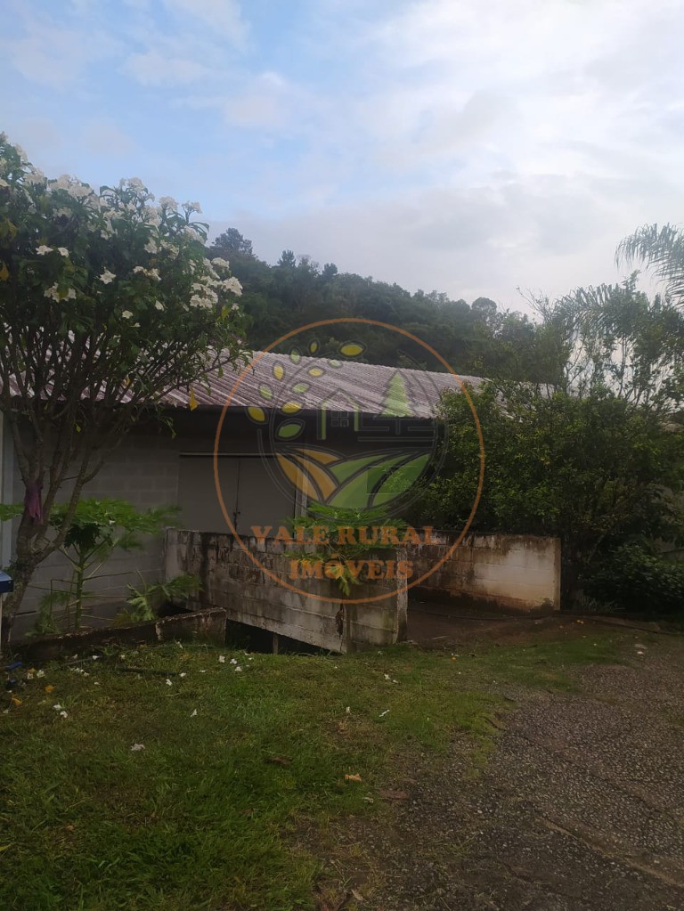 Chácara, 5 quartos, 4000 m² - Foto 5