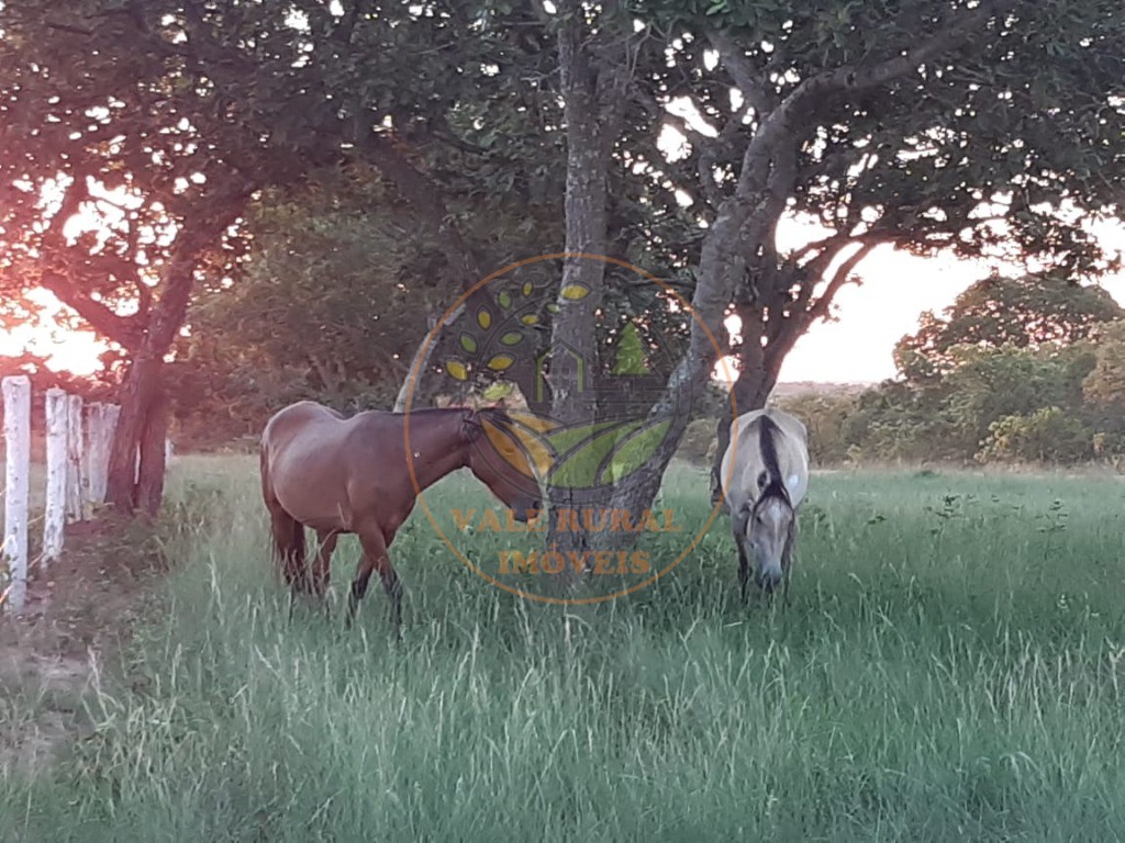 Fazenda, 3300 m² - Foto 12