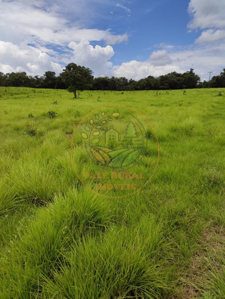 Fazenda, 3300 m² - Foto 38