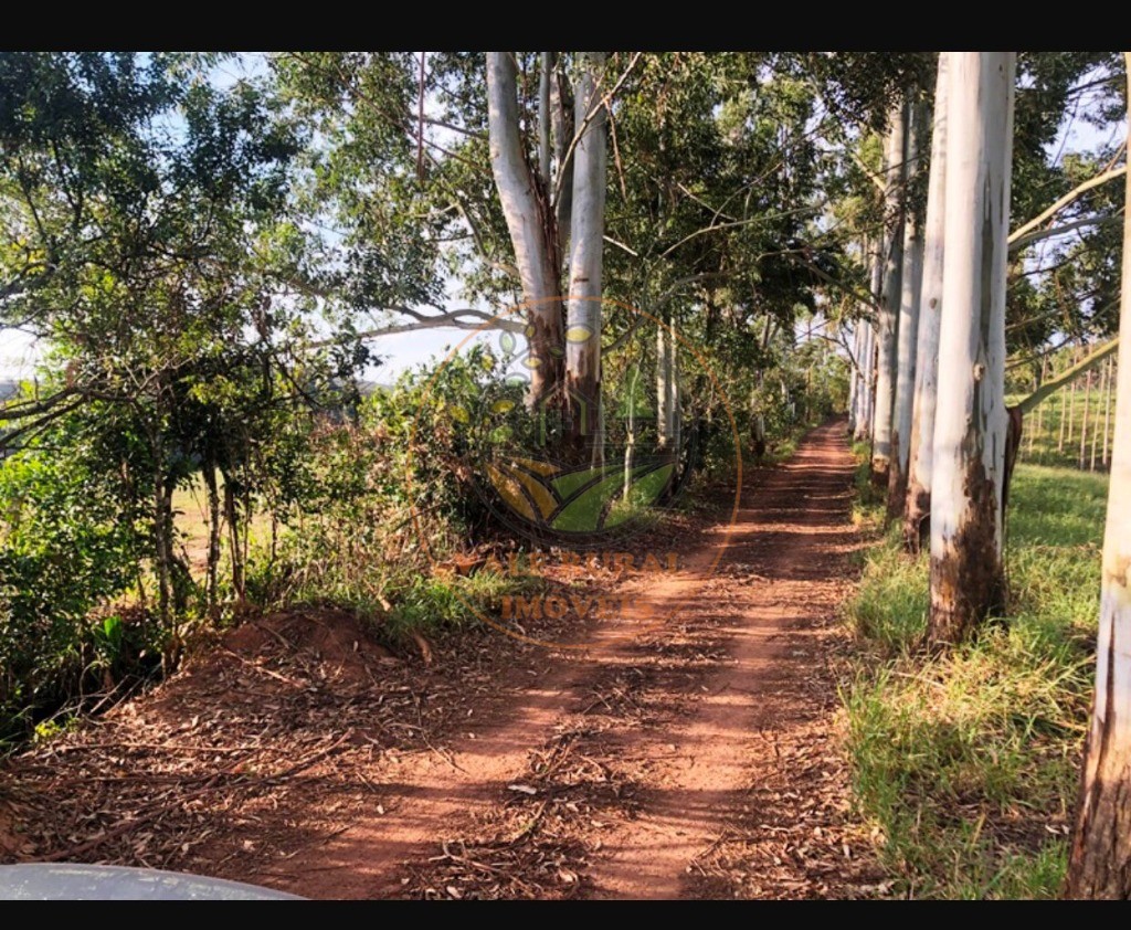 Fazenda, 220 m² - Foto 12