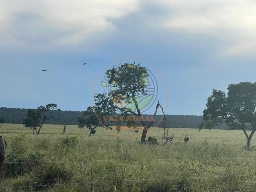 Fazenda, 3300 m² - Foto 27
