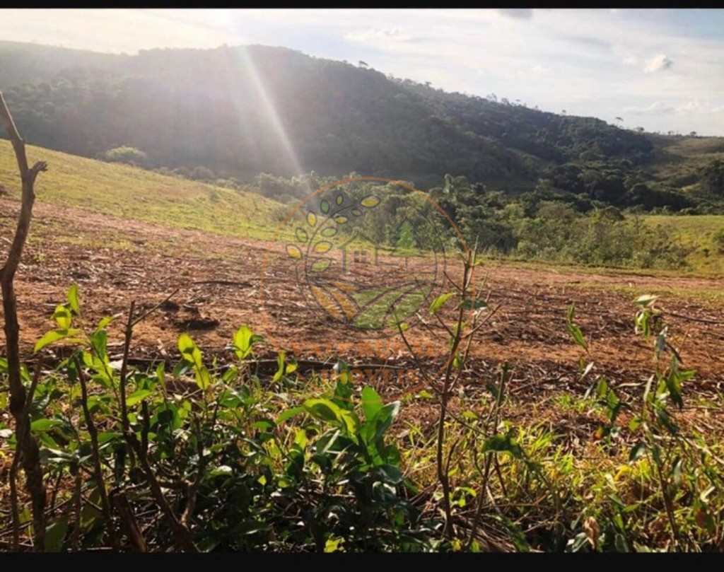 Fazenda, 220 m² - Foto 2