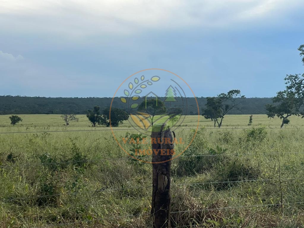 Fazenda, 3300 m² - Foto 35