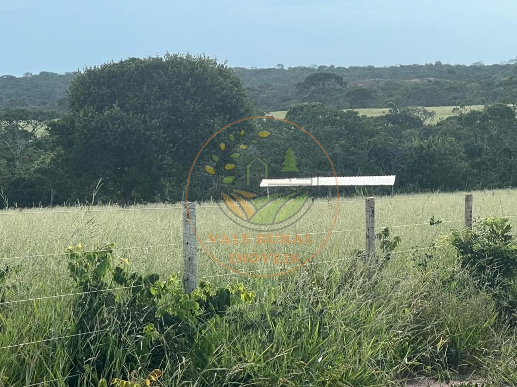 Fazenda, 3300 m² - Foto 28
