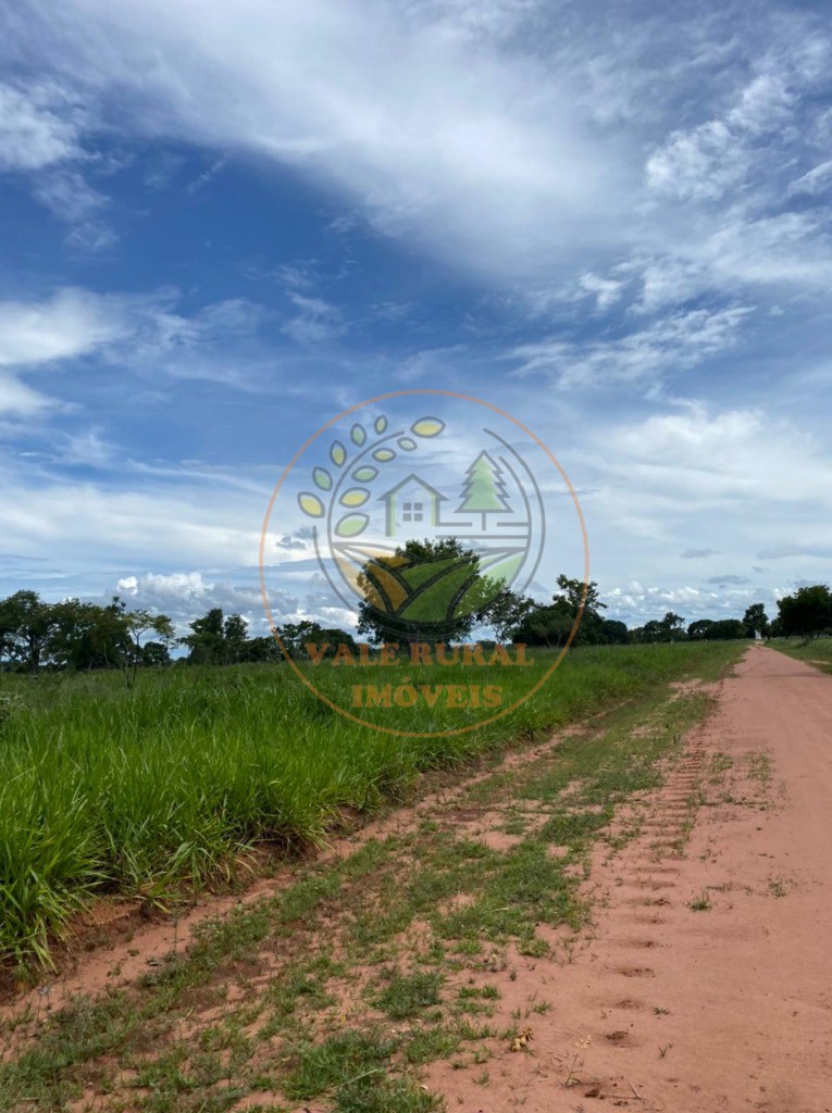 Fazenda, 3300 m² - Foto 9