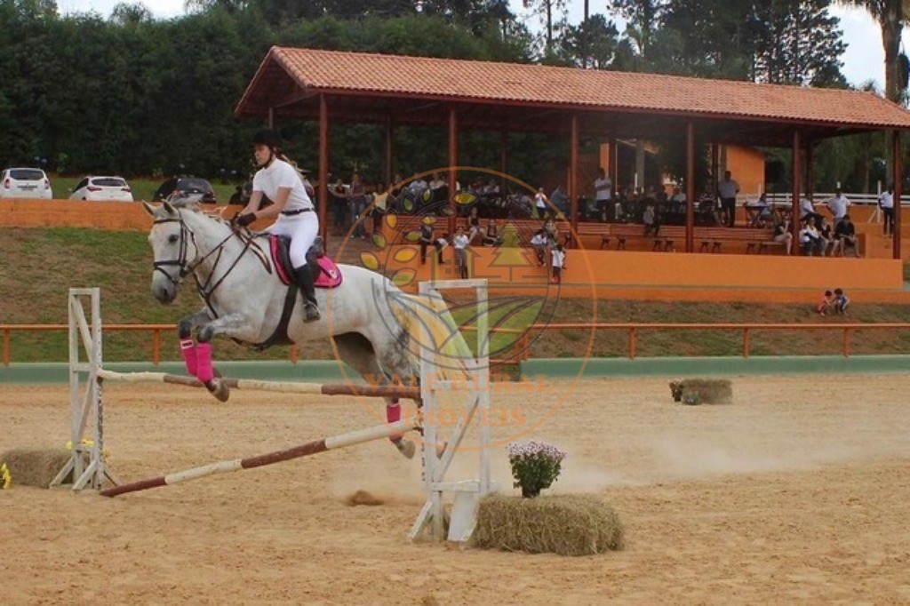Fazenda, 8 hectares - Foto 1