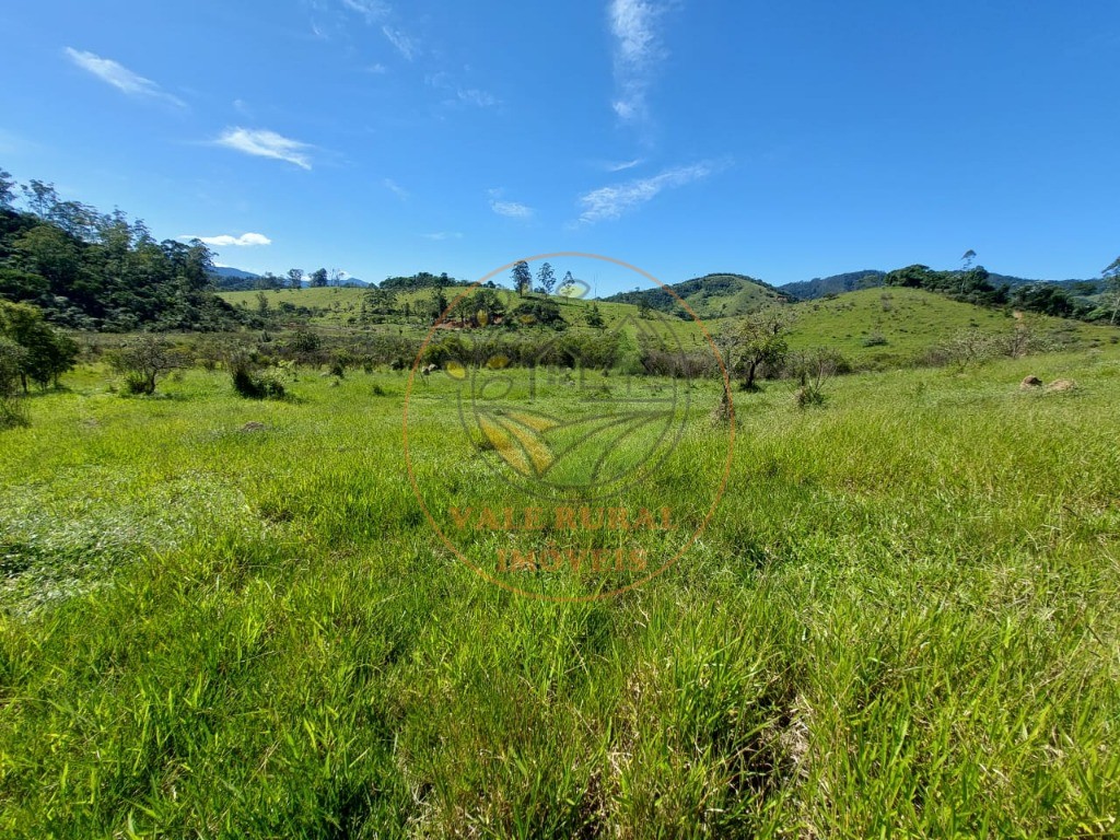 Fazenda, 2 hectares - Foto 9