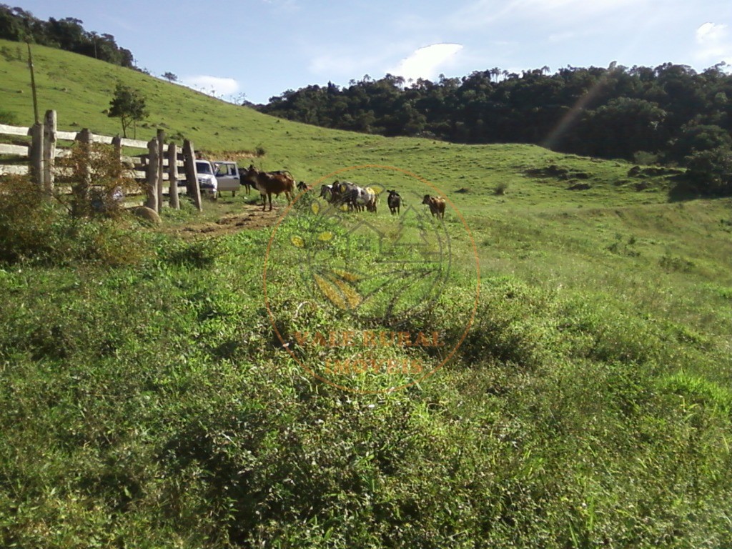 Fazenda, 54 m² - Foto 3