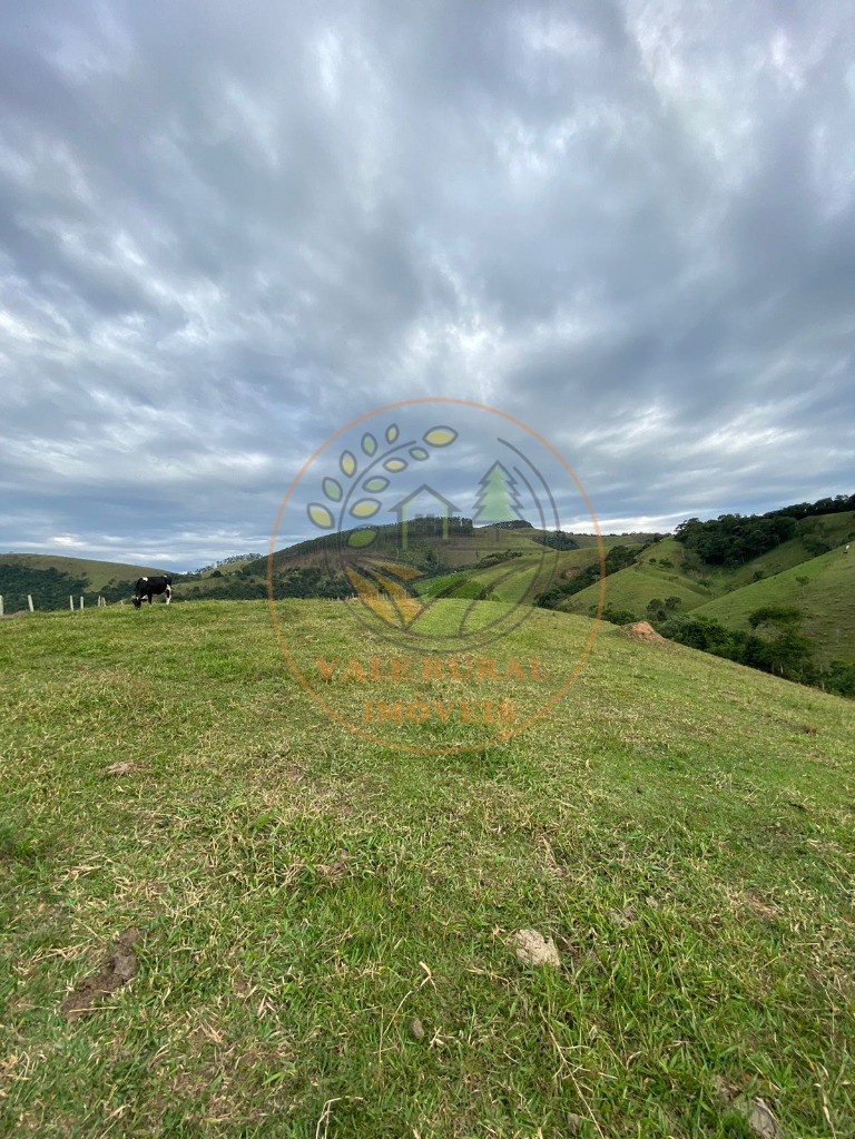 Chácara, 2 quartos, 5 hectares - Foto 43