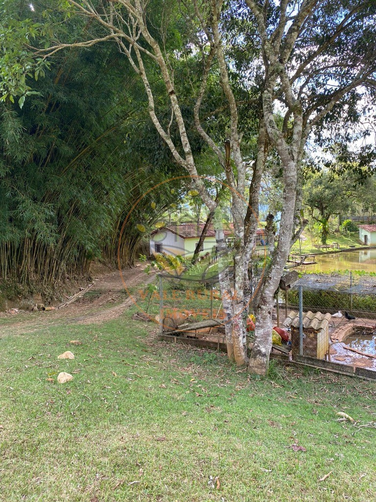 Chácara, 2 quartos, 5 hectares - Foto 7