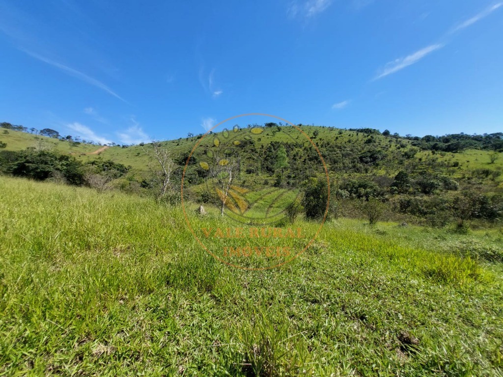 Fazenda, 2 hectares - Foto 7
