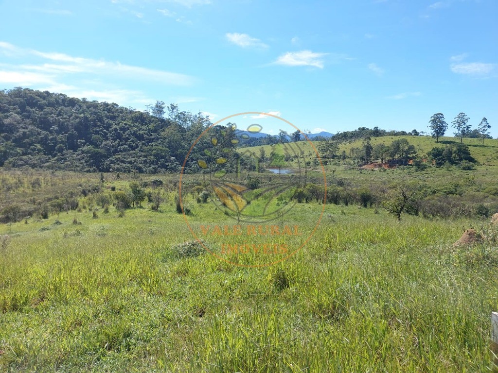 Fazenda, 2 hectares - Foto 4