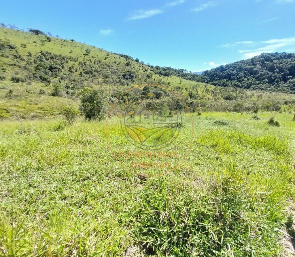 Fazenda, 2 hectares - Foto 6
