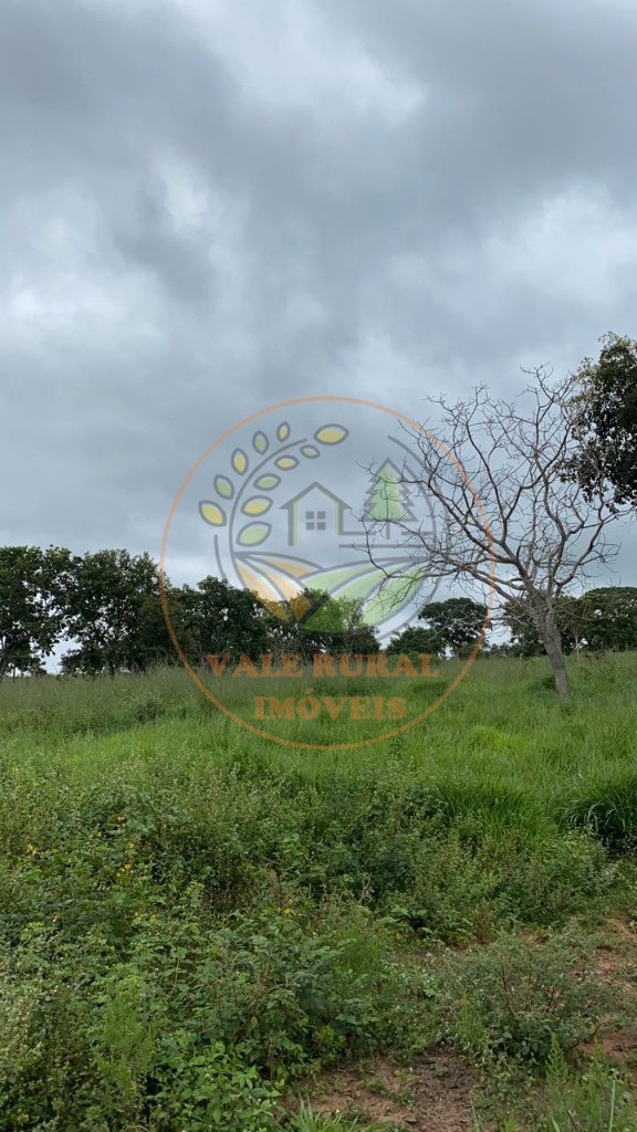Fazenda, 296 m² - Foto 8