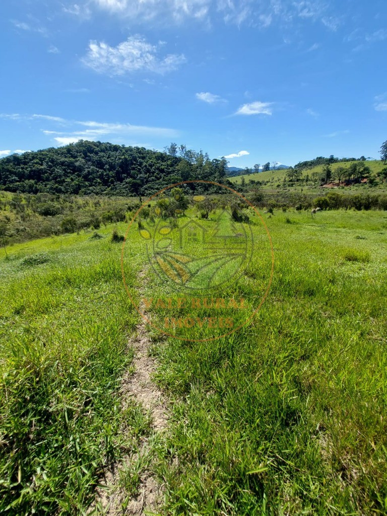 Fazenda, 2 hectares - Foto 8