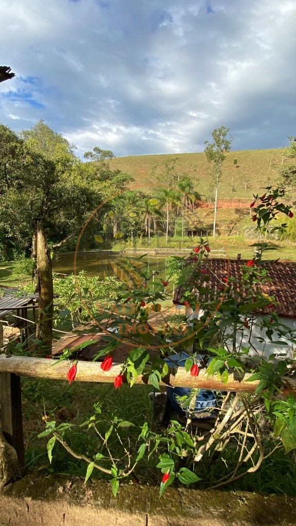 Chácara, 2 quartos, 5 hectares - Foto 11