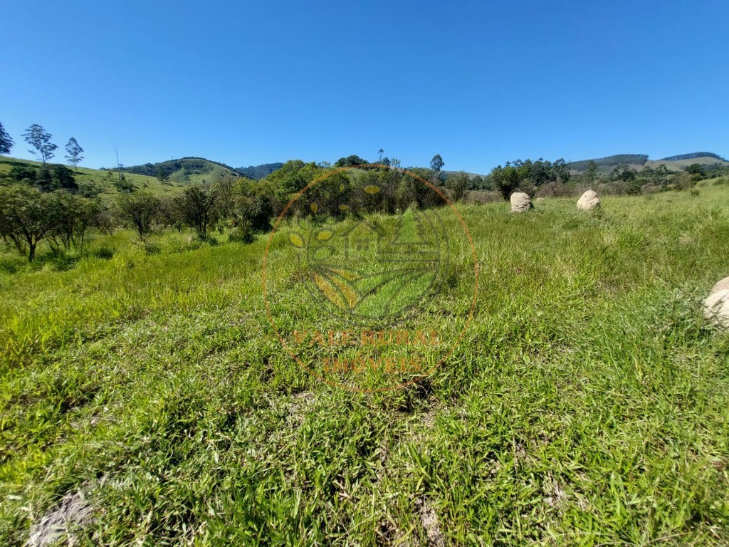 Fazenda, 2 hectares - Foto 10