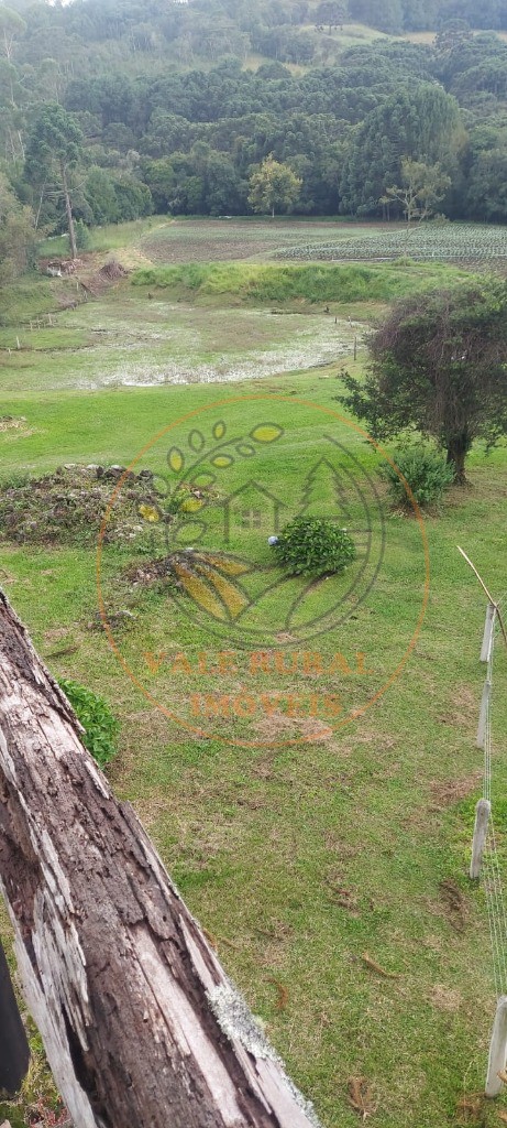 Sítio, 2 quartos, 2 hectares - Foto 6