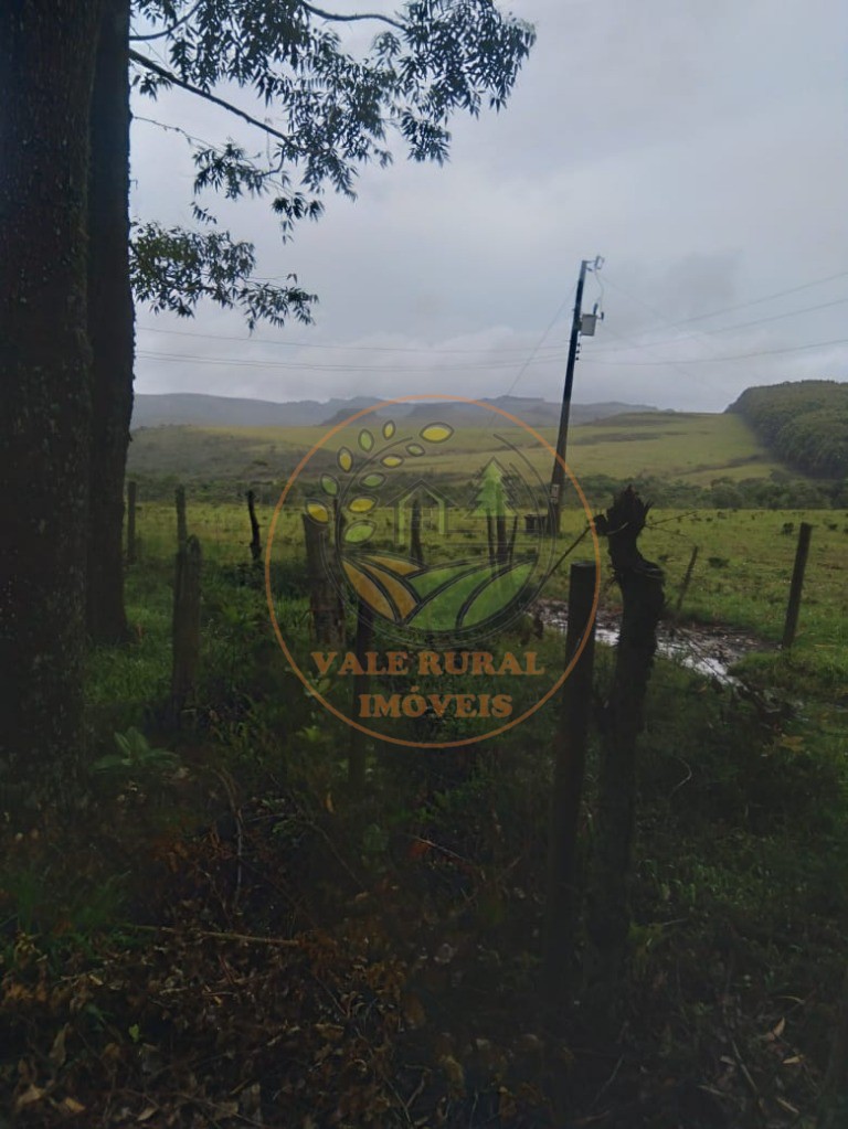 Fazenda, 569 m² - Foto 6