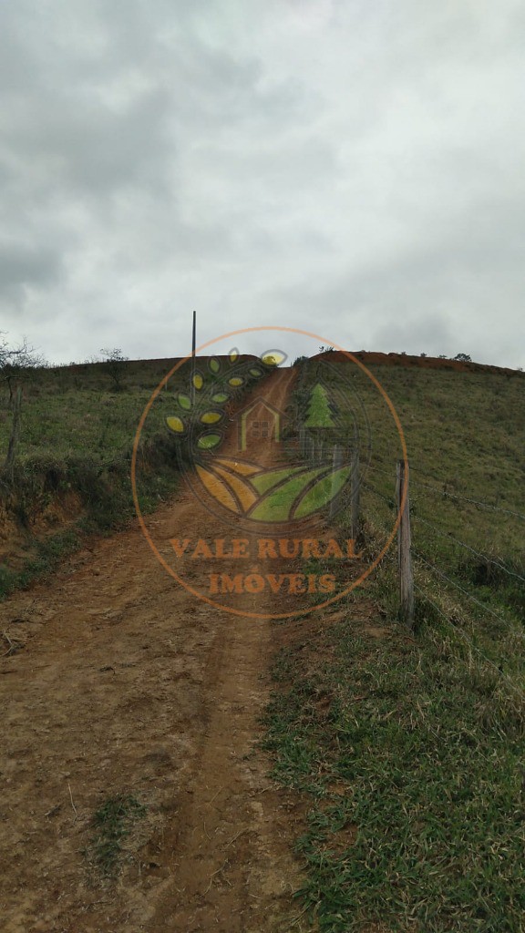 Fazenda, 2 hectares - Foto 3
