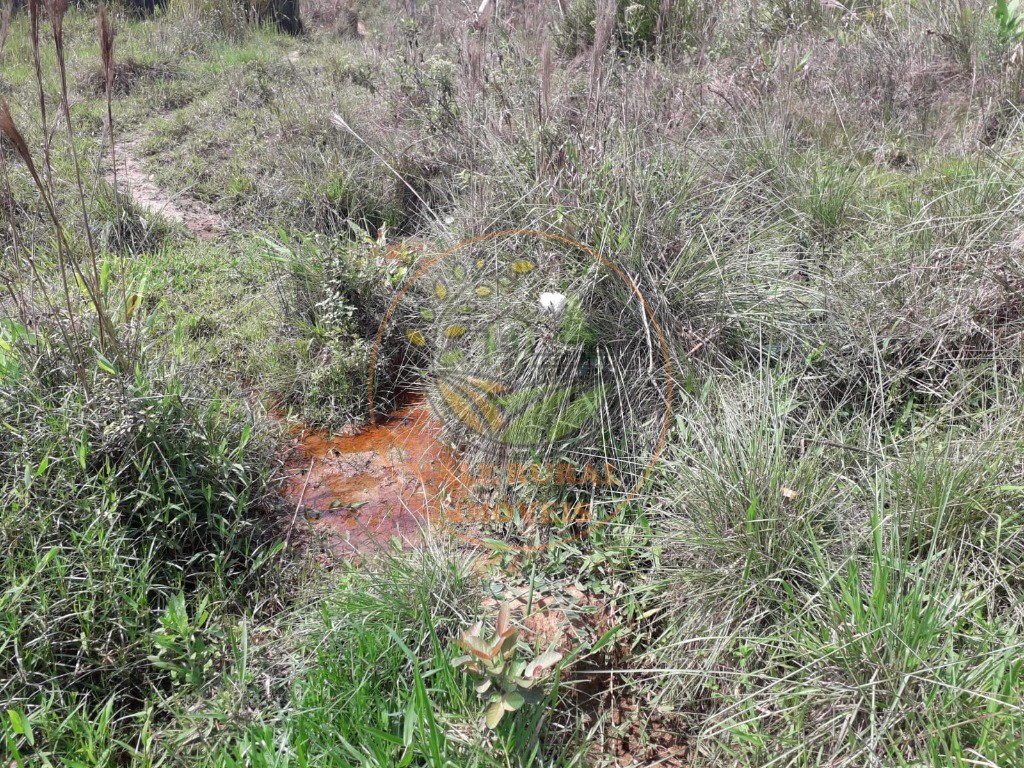 Fazenda, 2 hectares - Foto 7