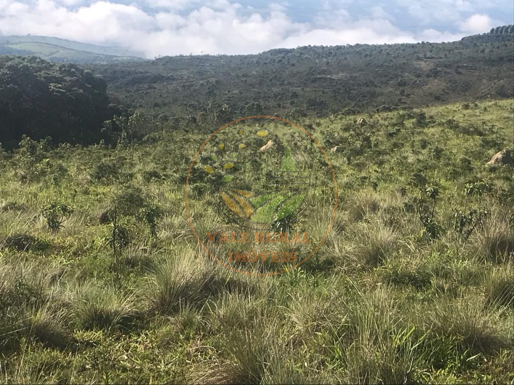 Fazenda, 560 m² - Foto 6