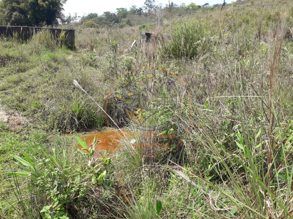 Fazenda, 2 hectares - Foto 3