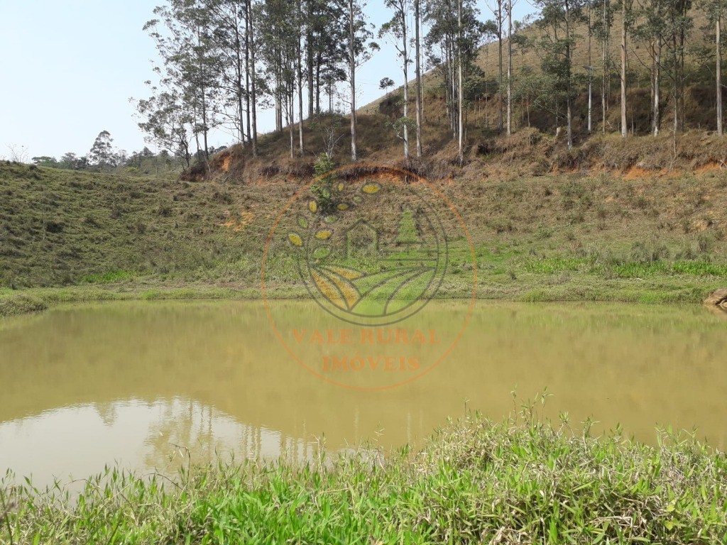 Fazenda, 2 hectares - Foto 16