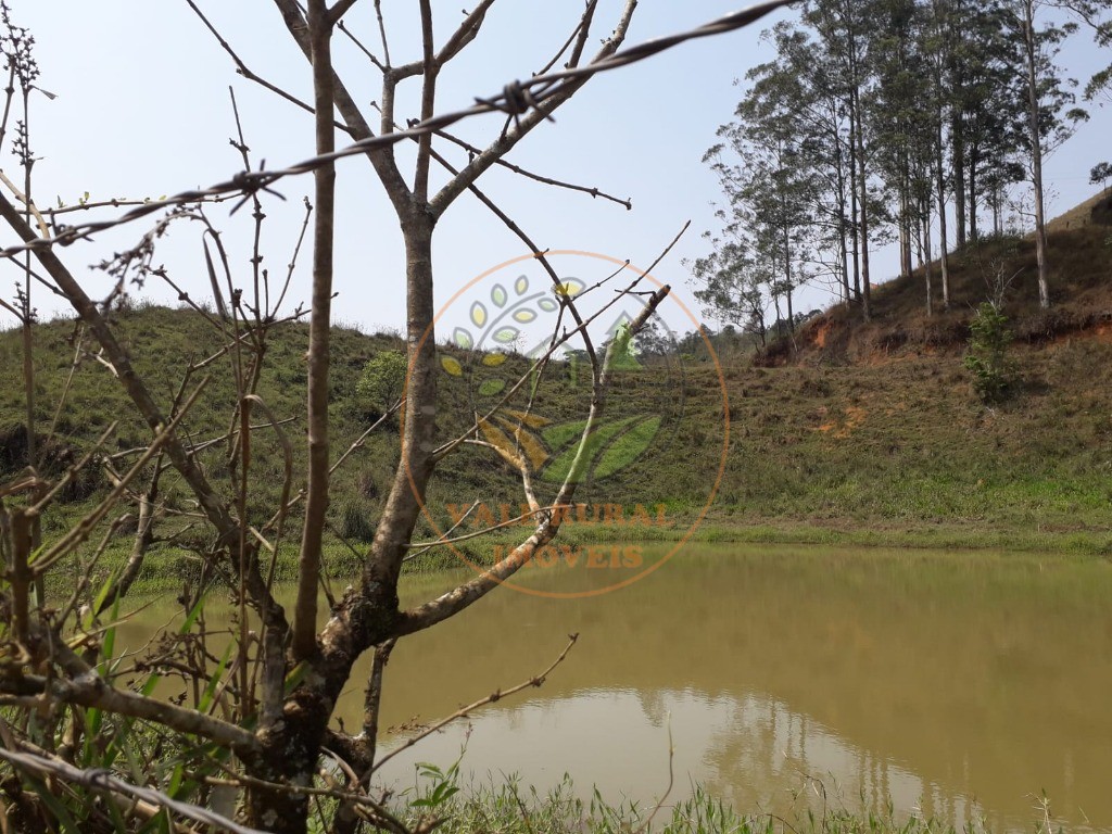 Fazenda, 2 hectares - Foto 14