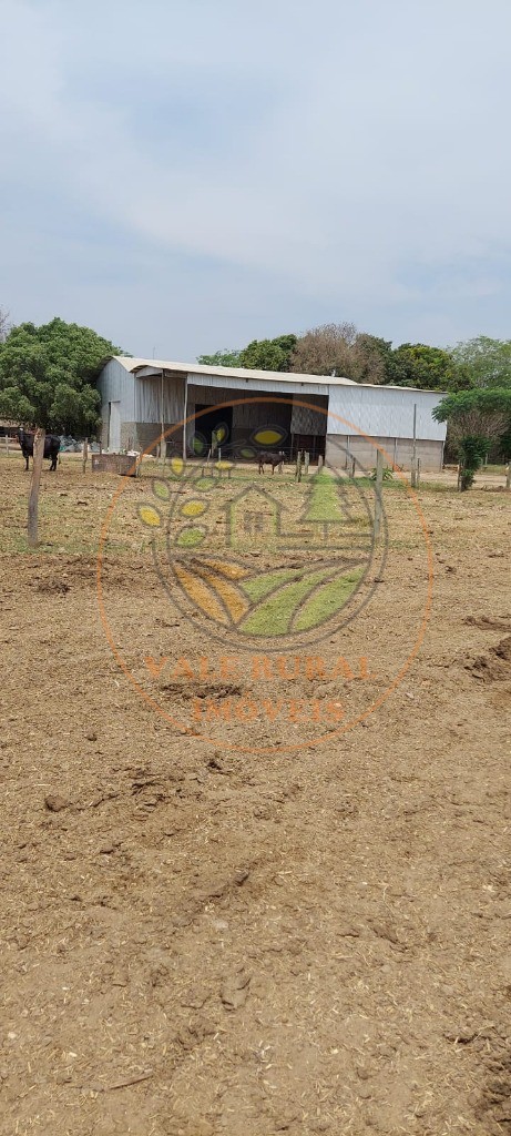 Fazenda, 2 hectares - Foto 4