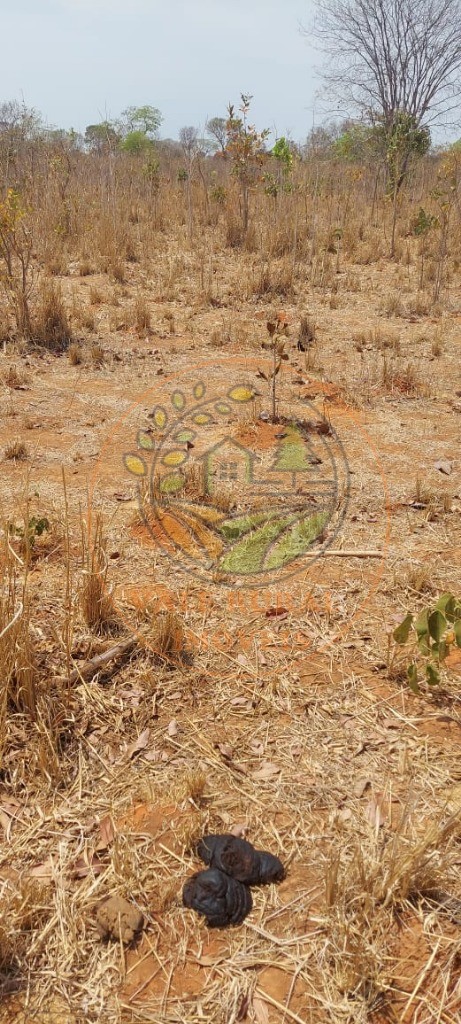 Fazenda, 2 hectares - Foto 9
