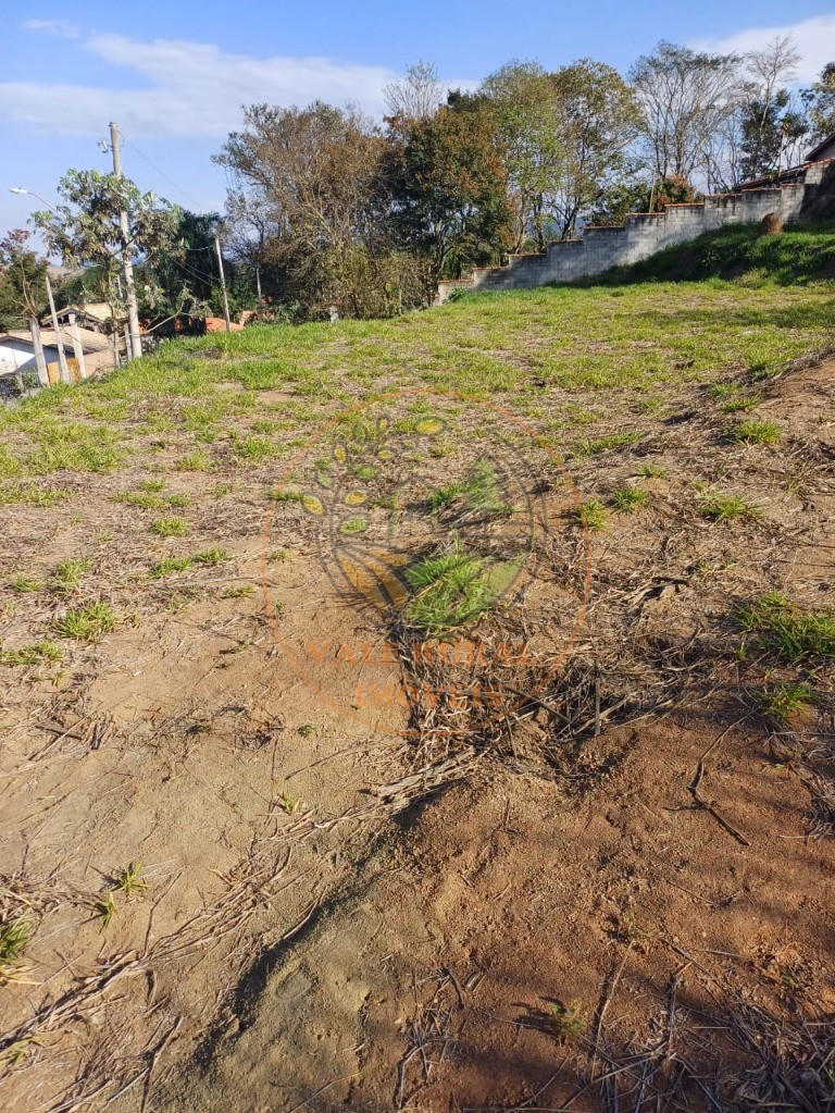 Fazenda, 2399 m² - Foto 4