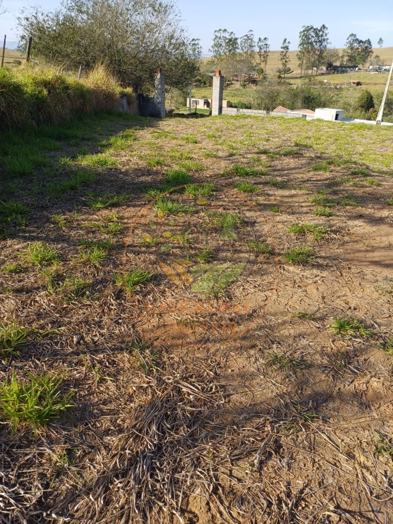 Fazenda, 2399 m² - Foto 1