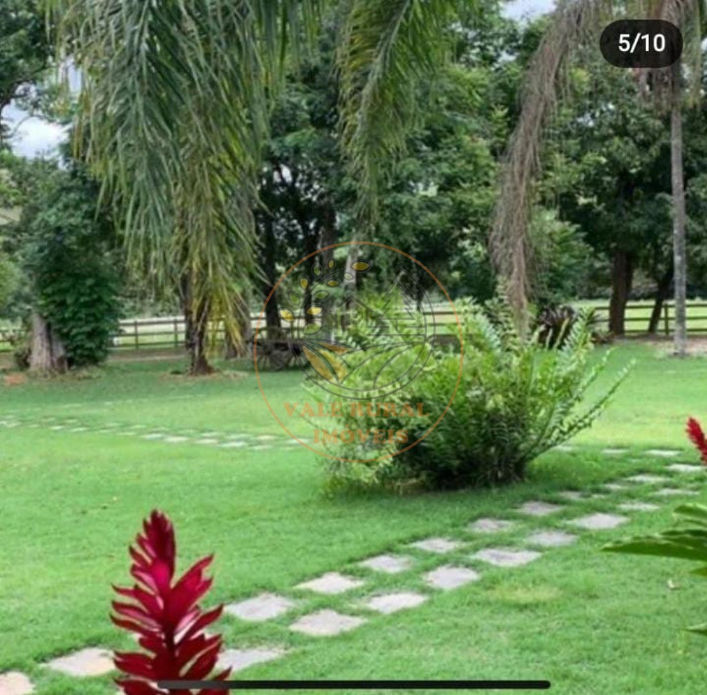 Fazenda, 4 quartos - Foto 5