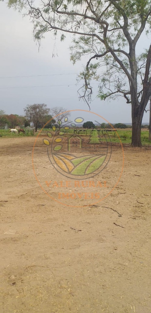 Fazenda, 2 hectares - Foto 12
