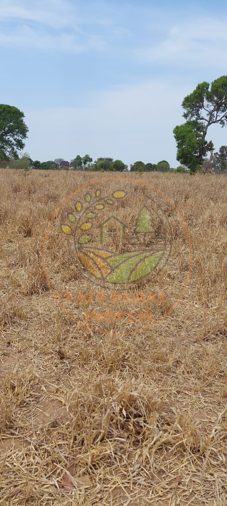 Fazenda, 2 hectares - Foto 6