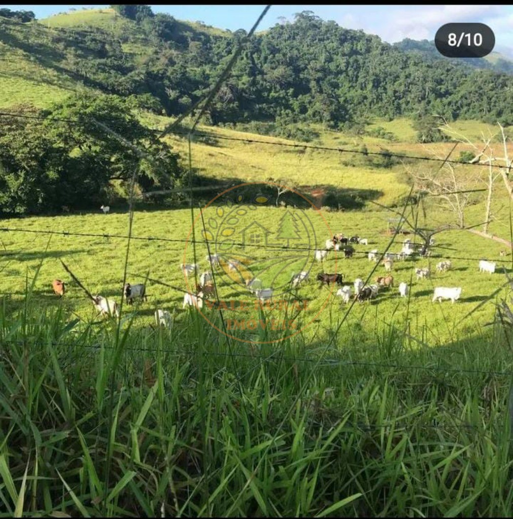 Fazenda, 4 quartos - Foto 3