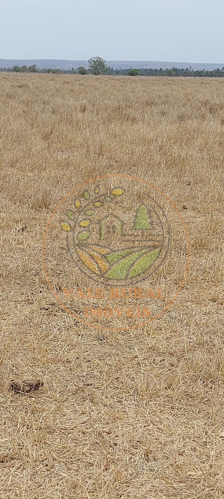 Fazenda, 2 hectares - Foto 8