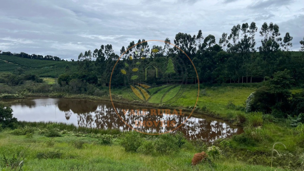 Fazenda, 1040 m² - Foto 9