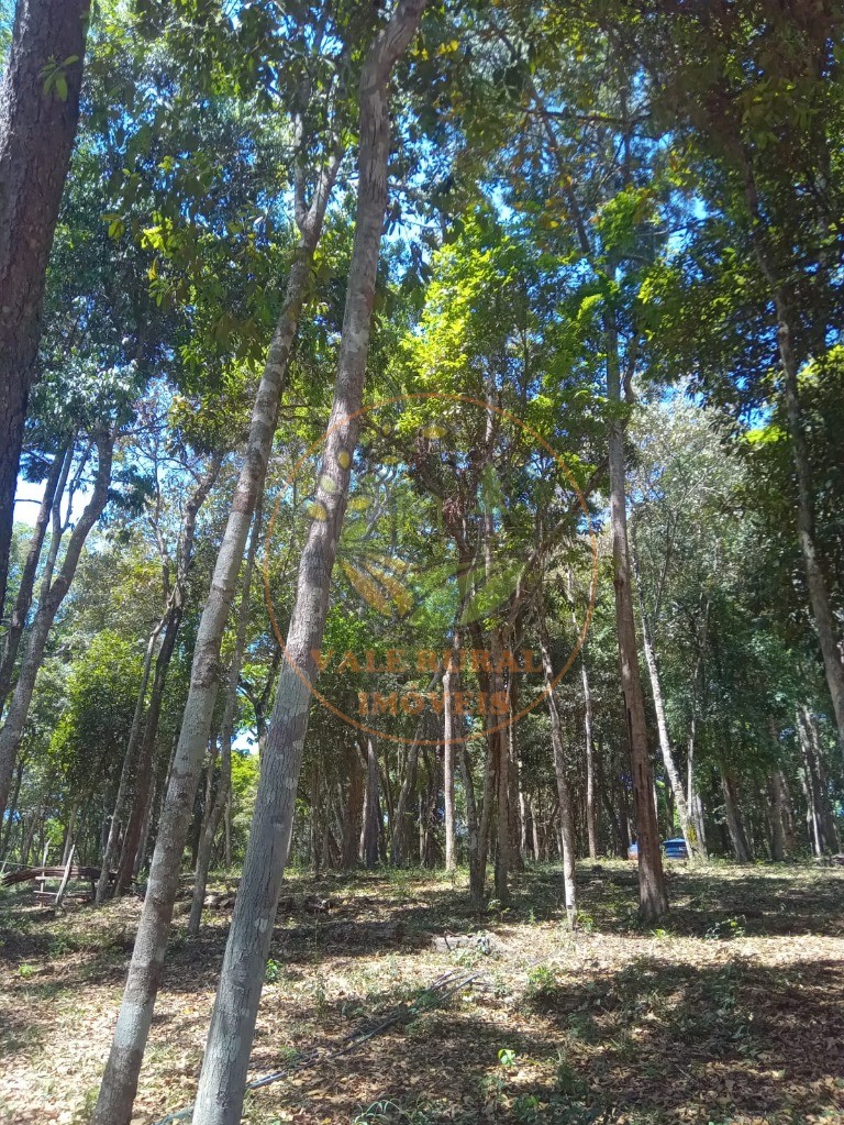 Sítio, 1 quarto, 12 m² - Foto 12