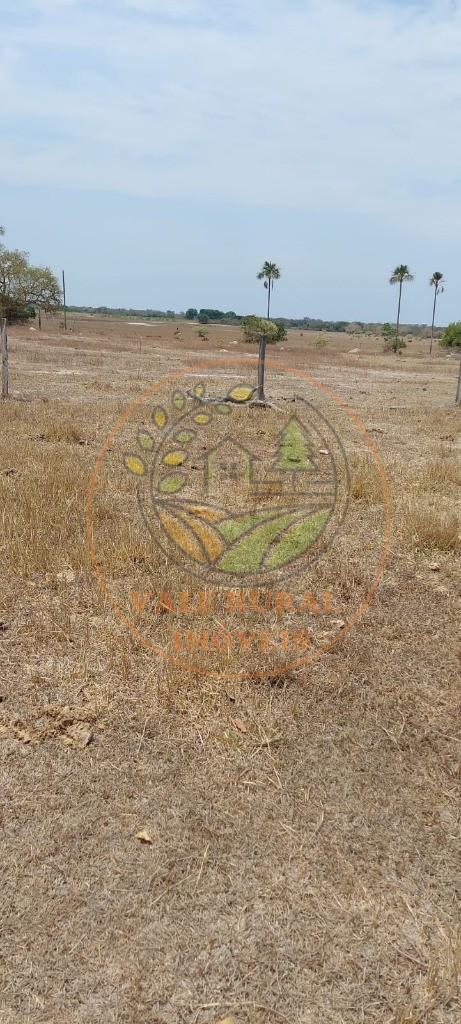 Fazenda, 1 hectares - Foto 15