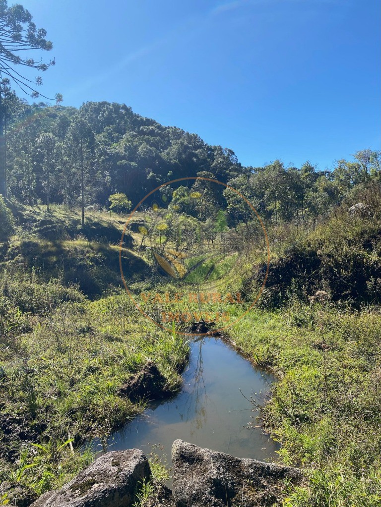 Fazenda, 5 hectares - Foto 22