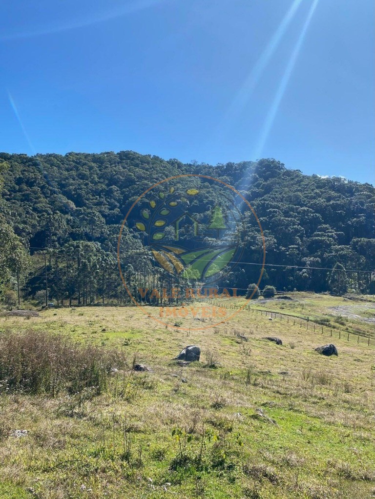 Fazenda, 5 hectares - Foto 18