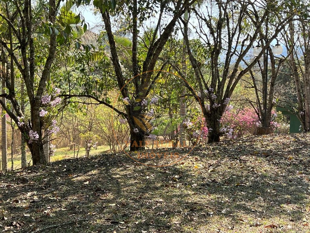 Chácara, 3 quartos, 10000 m² - Foto 18