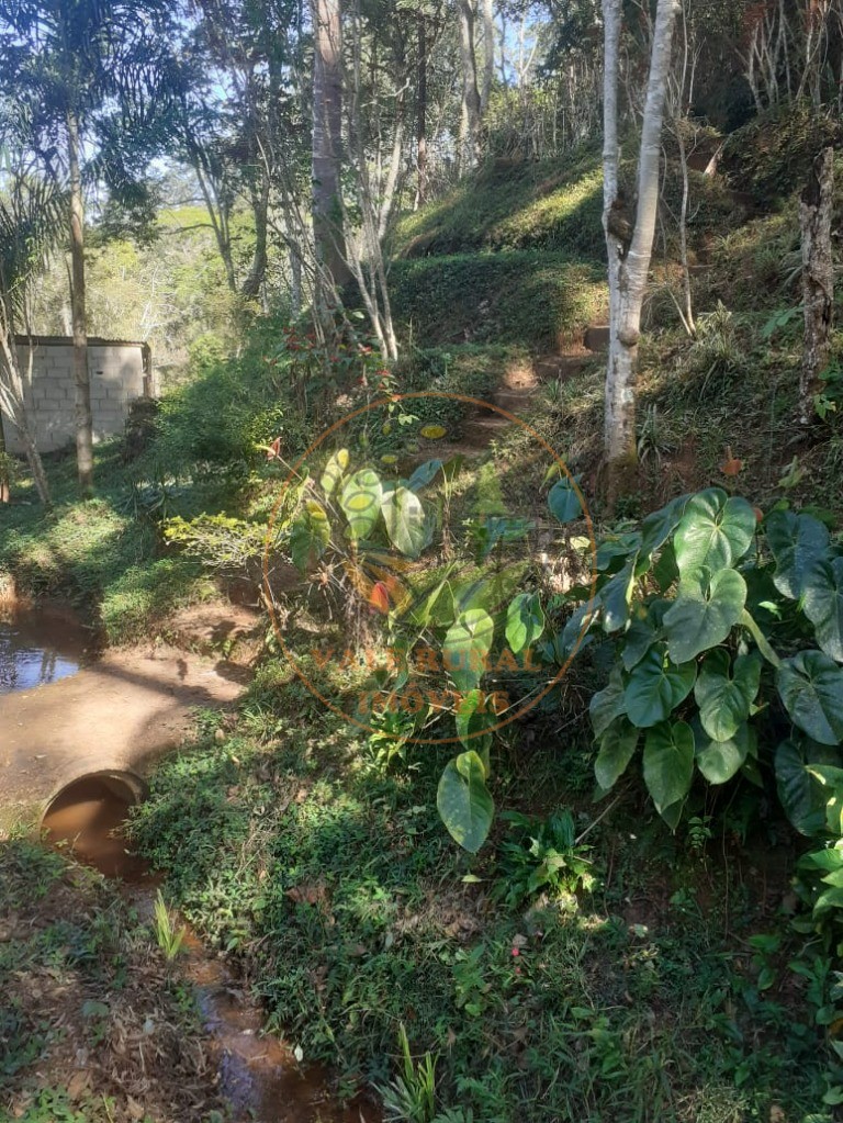 Sítio, 4 quartos, 6 hectares - Foto 34
