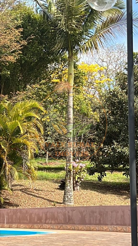 Chácara, 3 quartos, 10000 m² - Foto 5