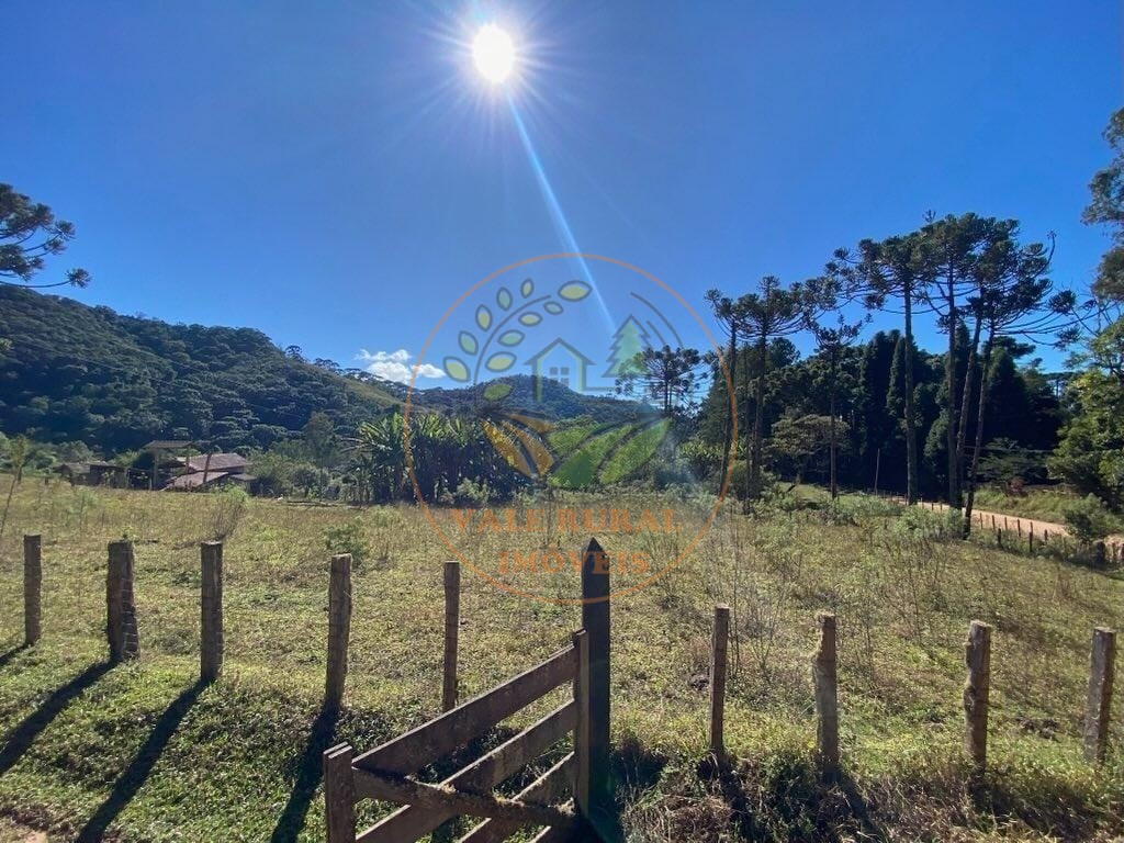 Fazenda, 5 hectares - Foto 8