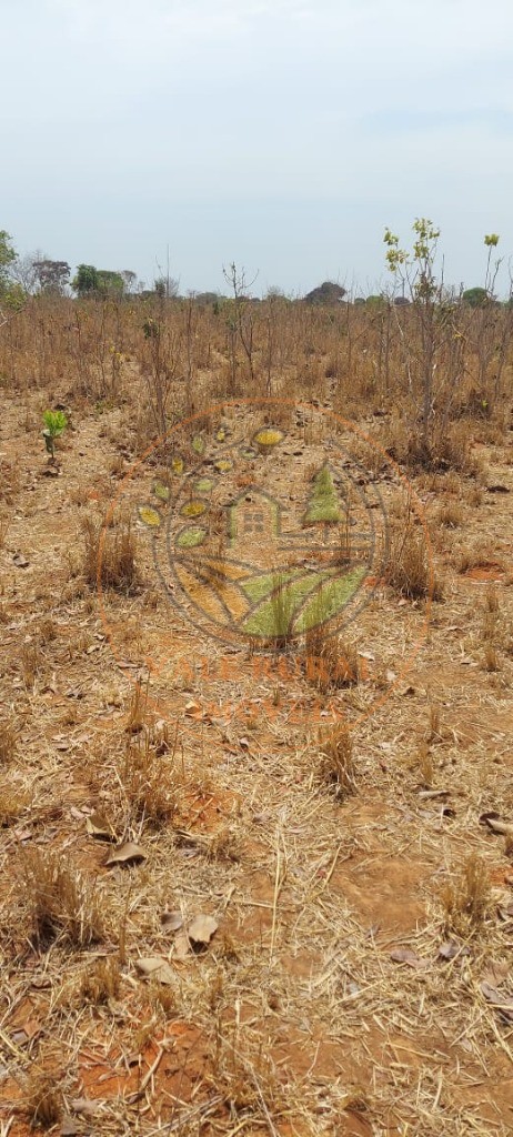 Fazenda, 1 hectares - Foto 14